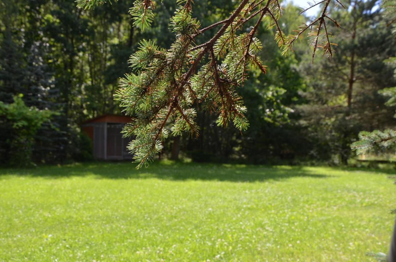 Agroturystyka Czekaj Przy Suntago Lublinow エクステリア 写真